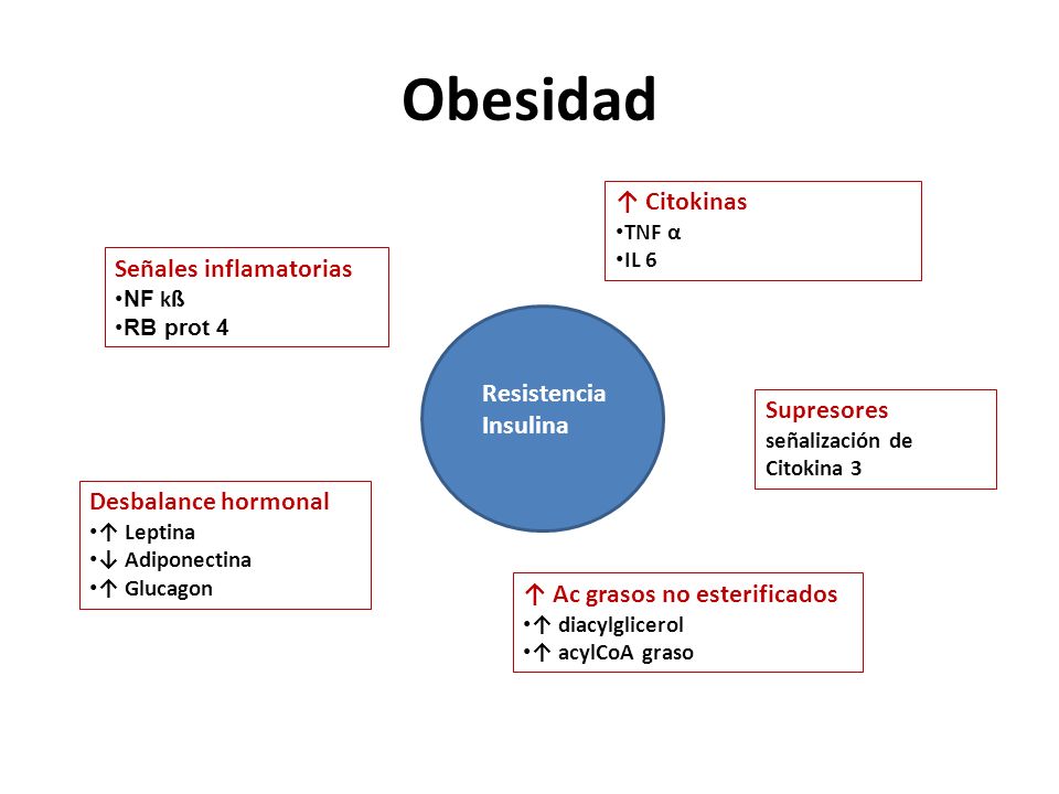 función adrenomedular y su regulación en obesidad y diabetes función adrenomedular y su regulación en obesidad y diabetes